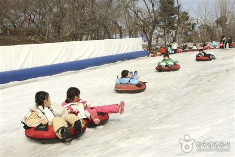 뚝섬 눈썰매장: 눈 속의 추억과 현실의 교차로